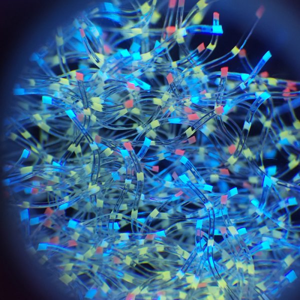 异形分(fēn)段纤维