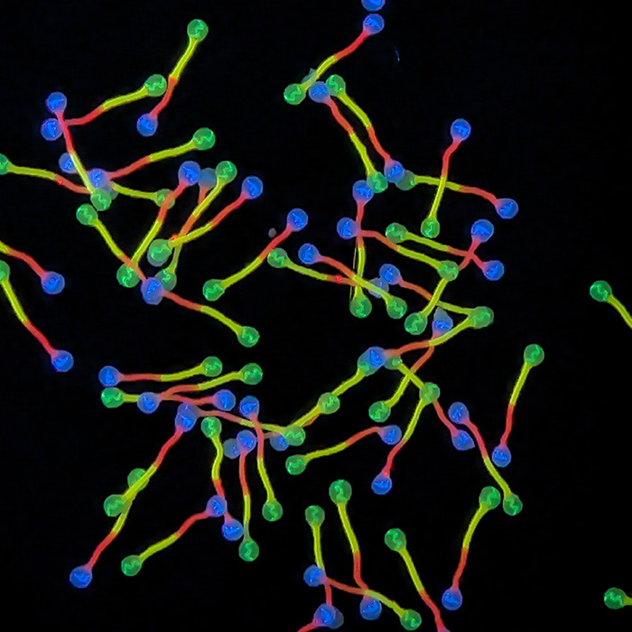 微缩文(wén)字纤维