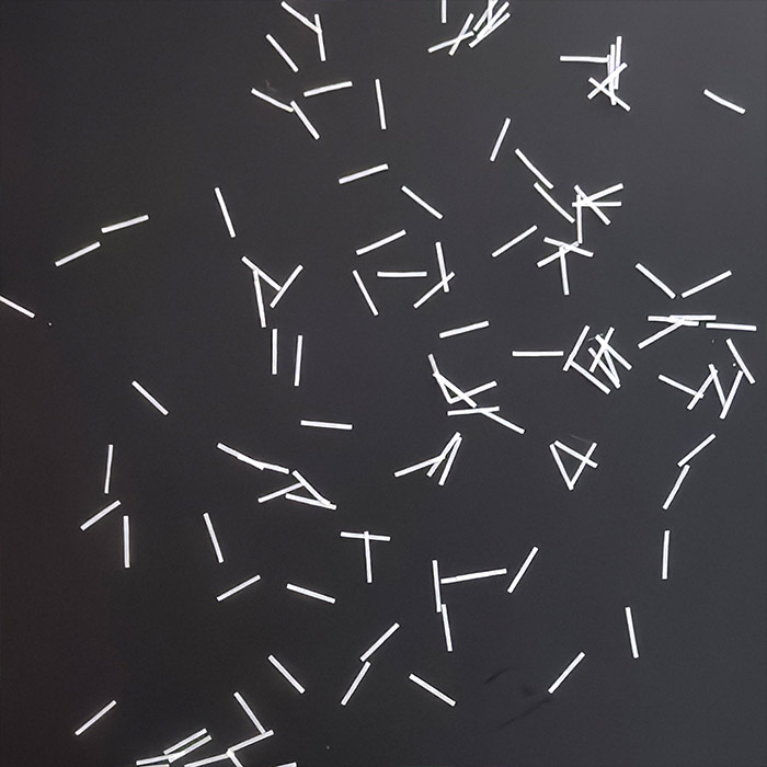 正反异色异段纤维