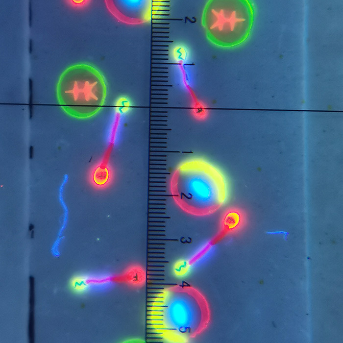 微缩文(wén)字纤维